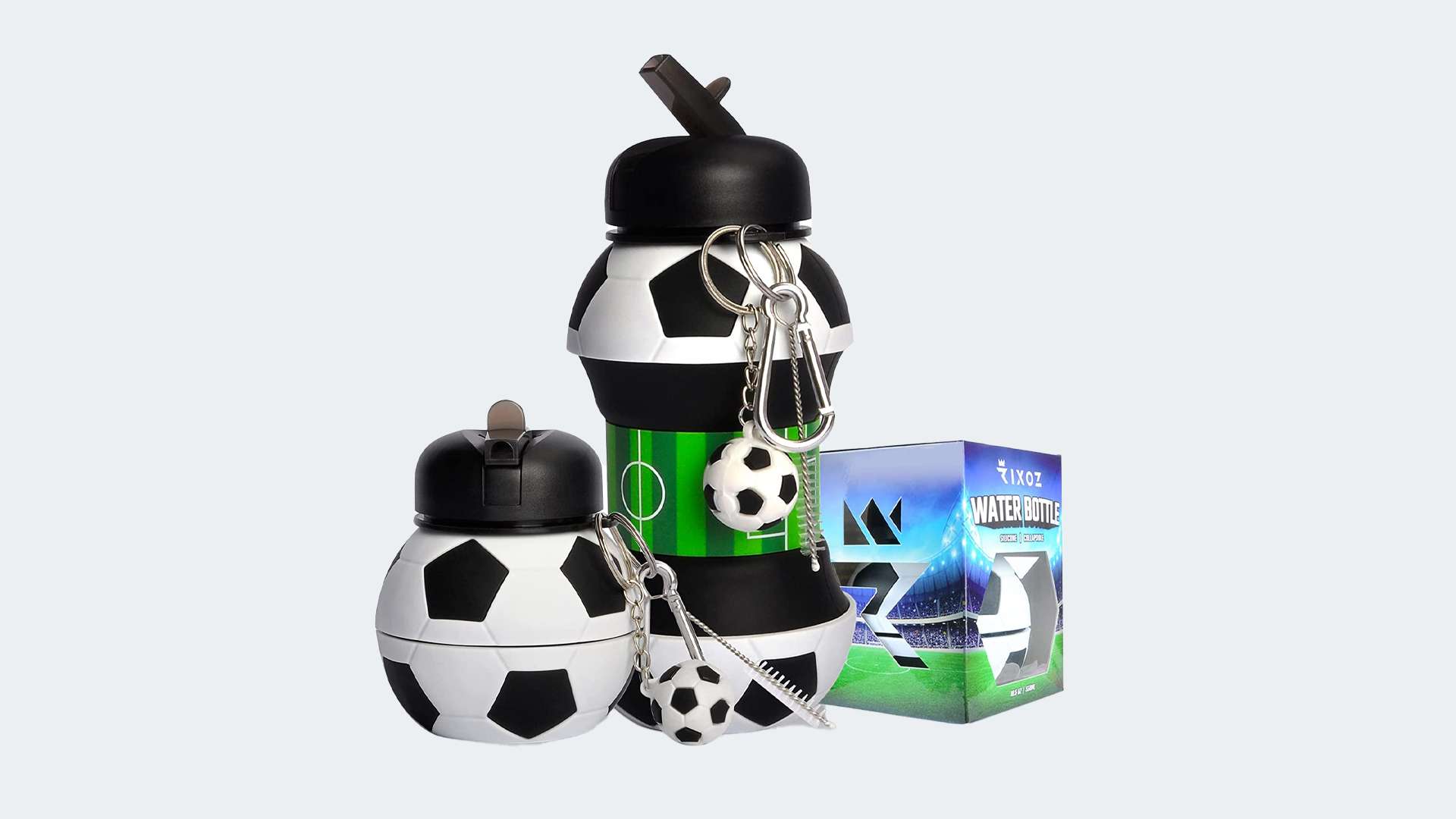 家队的整体 家队的整体